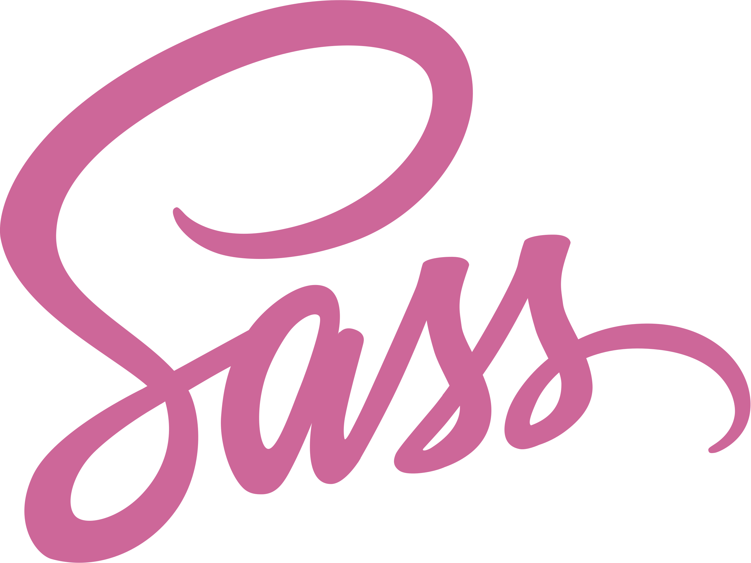 langage sass